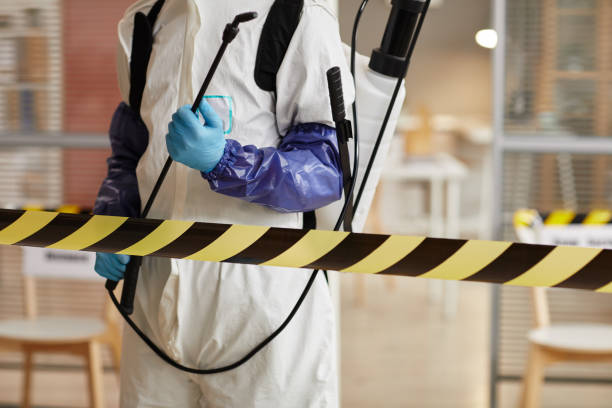 Professional Sewage Cleanup technician working in Monroe, UT